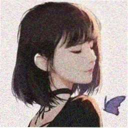 UP主纸页档案的头像